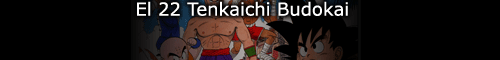 El 22 Tenkaichi Budokai