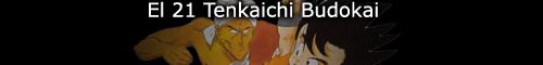 I 21 Tenkaichi Budokai