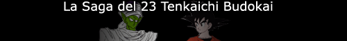 I 23 Tenkaichi Budokai