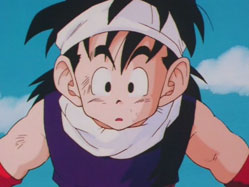 Son Gohan