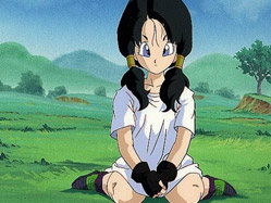 Videl