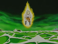Son Goku regresa al combate